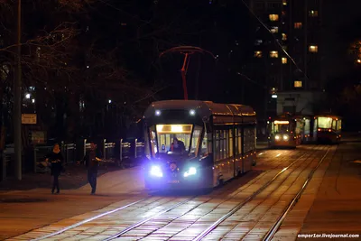В Москве трамваи «Витязь-М» полностью обслуживают маршрут №17 | МОЙ РАЙON