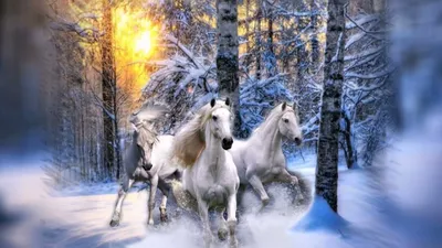 Три белых коня: декабрь январь и …» — создано в Шедевруме