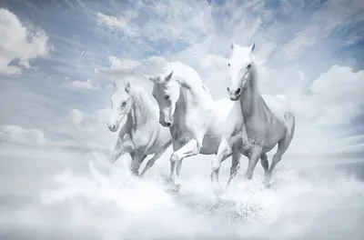Три белых коня - Декабрь, Январь, и Февраль! ~ Открытка (плейкаст)