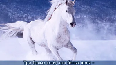 Три белых коня рисунок - 76 фото