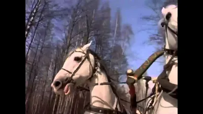 Три белых коня ❆ НОВОГОДНЯЯ ПЕСНЯ - YouTube