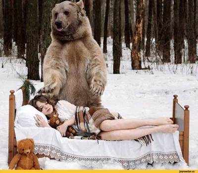 Фото Три медведя: захватывающие моменты в сказке