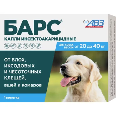 Власоеды у собак: симптомы и лечение в домашних условиях | ВКонтакте