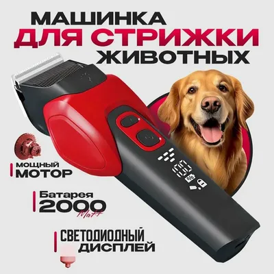 Триммер для собак Wahl 2999-7170 - купить по цене 700 руб на официальном  сайте MoserRussia.ru