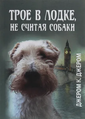 Книга Трое в лодке, не считая собаки, Джером Клапка Джером, купити онлайн  на Bizlit.com.ua