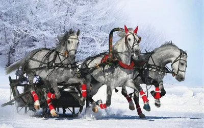 Просмотреть иллюстрацию Тройка лошадей из сообщества русскоязычных  художников ав… | Детские рождественские открытки, Рождественские пейзажи,  Рождественские картинки