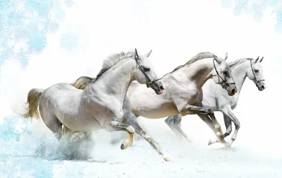 Белая тройка лошадей,запряженная в …» — создано в Шедевруме