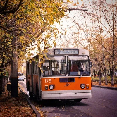 Старый советский троллейбус с добрым «лицом». Фото