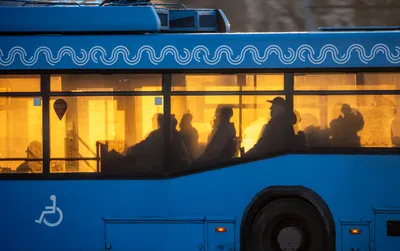 Спасите тульский троллейбус!»: Активист из Тулы уверен, что этому виду  транспорта скоро придет конец - Новости Тулы и области - MySlo.ru