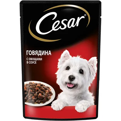 Влажный корм для собак Cesar, для пород среднего размера, овощи, говядина,  85г - отзывы покупателей на маркетплейсе Мегамаркет | Артикул  товара:100027339189
