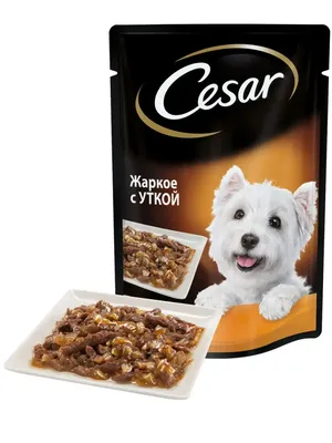 Влажный корм для собак CESAR® говядина с овощами купить у партнеров