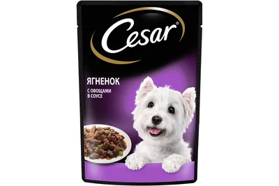 Cesar Natural Goodness влажный корм для собак, с говядиной, паприкой и  шпинатом, в соусе, в паучах - 80 г | Купить в Москве