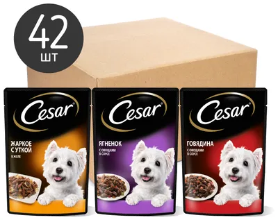 Влажный корм Cesar для взрослых собак, с ягненком и овощами в соусе, 28  штук по 85 г купить по низким ценам в интернет-магазине Uzum (93492)