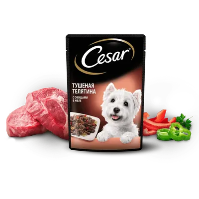 Корм для животных Cesar, 85 г, для собак, кусочки в соусе, говядина с  овощами, F5872 в Белгороде: цены, фото, отзывы - купить в интернет-магазине  Порядок.ру