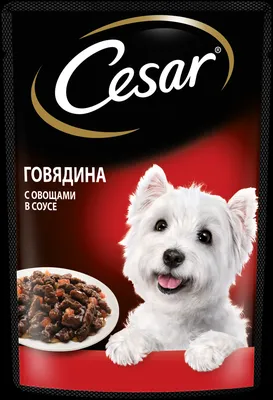 Влажный корм для собак CESAR® тушеная телятина с овощами купить у партнеров