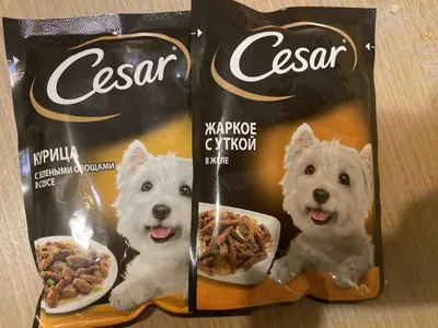 Корм для собак «Cesar» телятина, овощи, 85 г купить в Минске: недорого, в  рассрочку в интернет-магазине Емолл бай