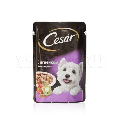 Корм для собак Cesar Жаркое с уткой в желе, пауч, 85 гр. - «Изысканное  угощение для Вашего питомца или вполне себе обычный рацион от CESAR?» |  отзывы