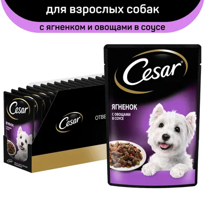 Купить Cesar / Корм для собак, Курица, Влажный, Фольгированный лоток, 100 г  в Дубае онлайн | Лучшие цены в ОАЭ | Wee