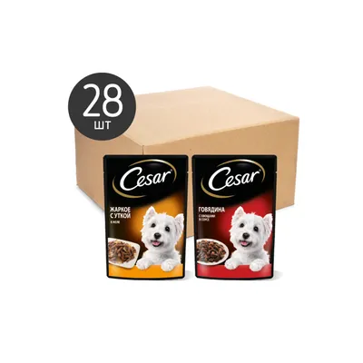 Влажный корм для собак Cesar, с говядиной и кроликом в соусе под шпинатом,  100г - отзывы покупателей на маркетплейсе Мегамаркет | Артикул  товара:100025531262