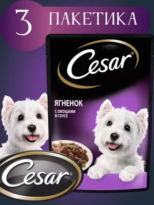 Влажный корм Cesar для собак, с ягненком и овощами в соусе, 28 шт х 85 г -  купить с доставкой по выгодным ценам в интернет-магазине OZON (1052869695)