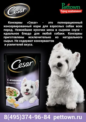 Влажных корм для собак CESAR, два вкуса, желе и ломтики в соусе, (набор 28  шт) пауч в mirkorma.ru