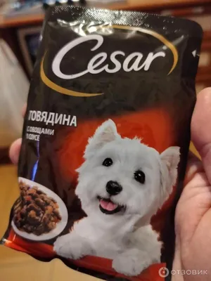 Корм Цезарь для собак с овощами пауч 85г - купить в Москве в  интернет-магазине Близнецы