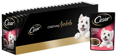 Корм для собак Cesar 100г с ягненком и овощами пауч - купить в интернет  магазине Зоозавр в Москве и России, отзывы, цена, фото