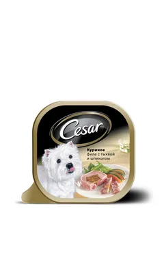 Купить Корм для собак CESAR говядина с паприкой и шпинатом в соусе пауч в  Бетховен