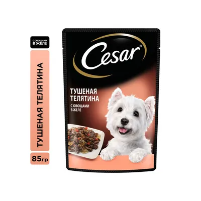 Корм для собак Cesar 100г говядина/кролик в соусе со шпинатом для собак  купить за 41 руб. с доставкой на дом в интернет-магазине «Palladi» в  Южно-Сахалинске