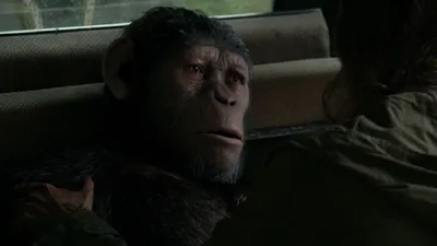«Планета обезьян: Новое царство» перенесёт сюжет на 300 лет в будущее |  КГ-Портал