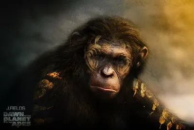 Обои Планета обезьян: война, War for the Planet of the Apes, 5k, Фильмы  #14078