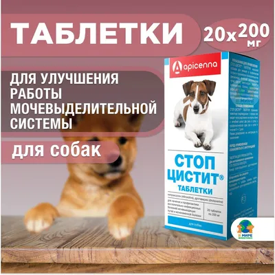 Характеристики модели Таблетки Apicenna Стоп-Цистит для собак 200 мг —  Ветеринарные препараты — Яндекс Маркет