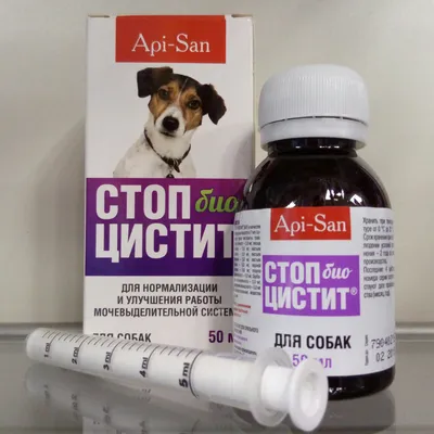 Стоп-цистит для собак, 50 мл - купить с доставкой по выгодным ценам в  интернет-магазине OZON (1318310010)