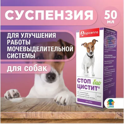 СТОП-ЦИСТИТ для собак, 40 табл. купить в Новосибирске с доставкой в  интернет-магазине ЗооСАТ