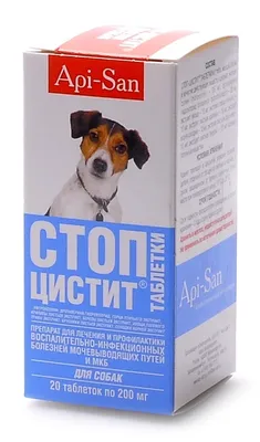 Стоп био цистит для собак Apicenna, 50 мл купить по низким ценам в  интернет-магазине Uzum