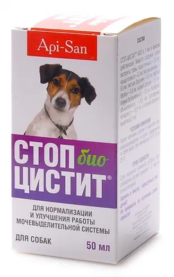 AnimAll VetLine Анти-цистит суспензия для собак и кошек (5003930) - купить  на Korm.com.ua