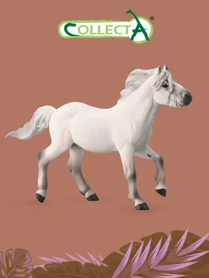 Какого цвета бывают лошади?