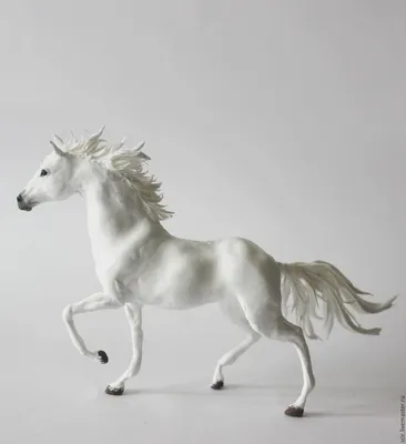 Набор лошадей разного цвета в движении векторные изолированные иллюстрации.  Векторное изображение ©Sabelskaya 433221382