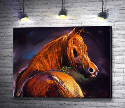 лошади с радужной гривой, картинки с изображением лошадей, лошадь, животное  фон картинки и Фото для бесплатной загрузки