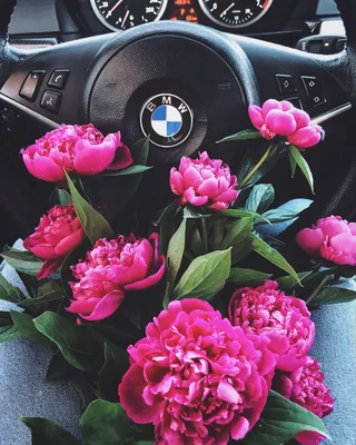 Car Bmw E60 Flowers Peony | Цветочные фоны, Фотография цветов, Тематические  фотографии