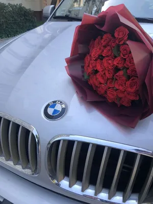 Розы BMW X5 цветы | Бмв x5, Бмв x6, Серии бмв