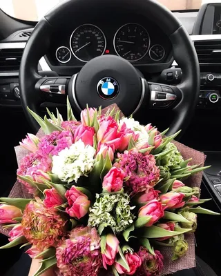 Ну любит мышь церкви и цветы! — BMW 3 series Coupe (E92), 3 л, 2008 года |  покупка машины | DRIVE2