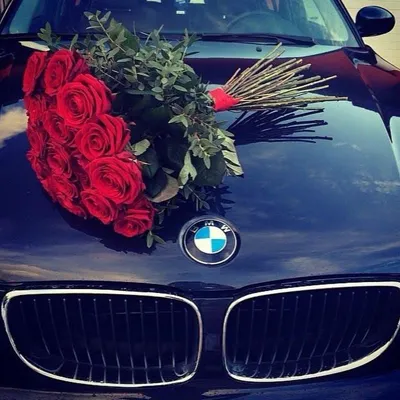 БМВ | Краснодар on Instagram: \"Девушки на BMW всегда получают цветы 😏😉😅  @soboleva.zl #бмв #бмвклуб #бмвклубкраснодар #бмвкраснодар #краснодар  #краснодарбмв #bmwclub #bmwclubkrd\"