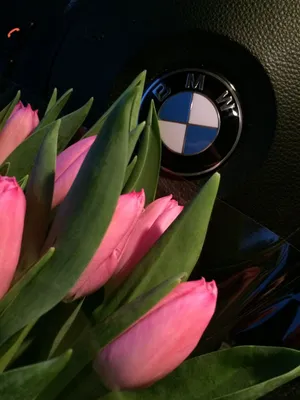 Купить Цветы для оформления машины. Капот \"BMW\" (Б) в Москве по 6200 ₽ арт  – 7182