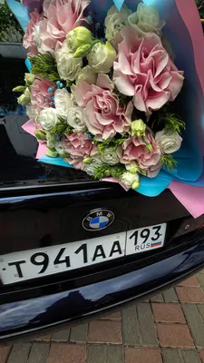 даришь ей цветы катал на бмв｜TikTok Search