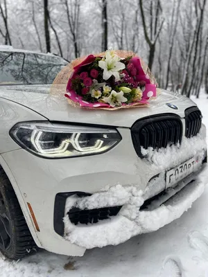Жене цветы 🌹, машине мойку🤙 — BMW X5 (E53), 3 л, 2006 года | мойка |  DRIVE2