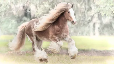 Конь богатырский: цыганская упряжная …» — создано в Шедевруме