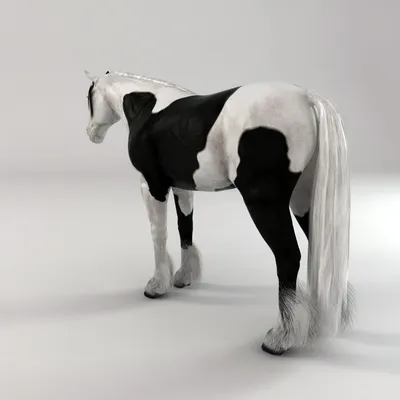 Цыганская упряжная лошадь с пушистыми…» — создано в Шедевруме