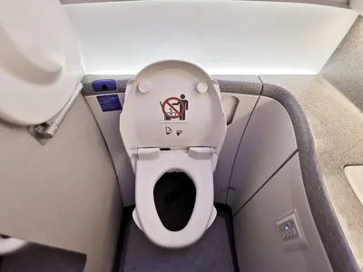 Может ли туалет в самолете засосать человека - Рамблер/путешествия