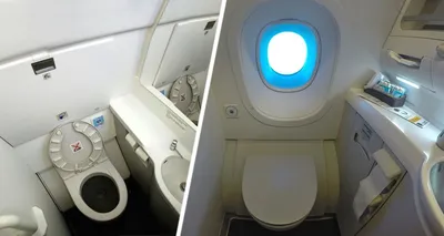 Можно вдохнуть фекалии: стюардесса рассказала, как надо посещать туалет в  самолете | Туристические новости от Турпрома